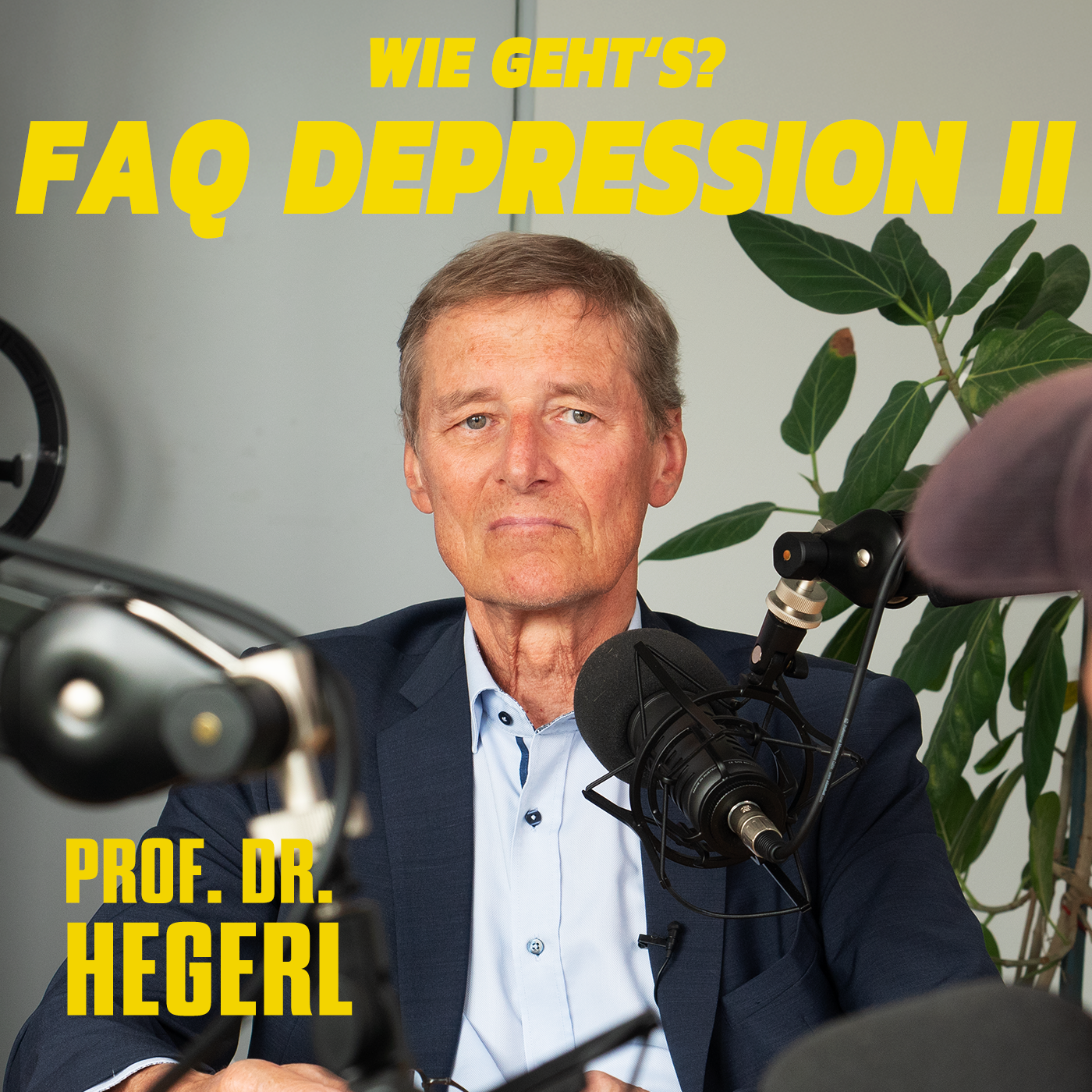 Sonderfolge 2 - FAQ Depression - Prof. Dr. Hegerl